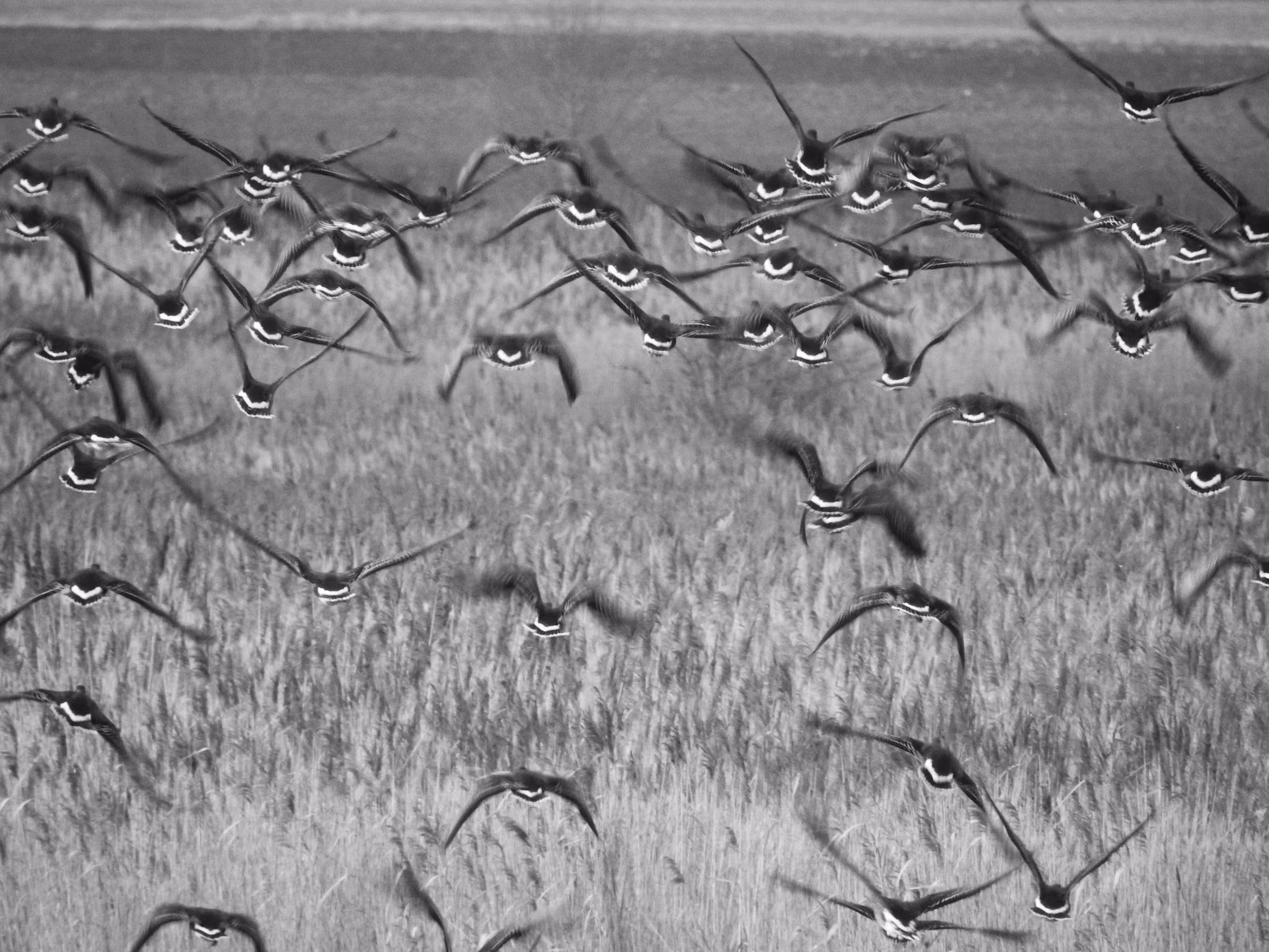 Entsperren des inneren Friedens: die transformative Kraft der Meditation